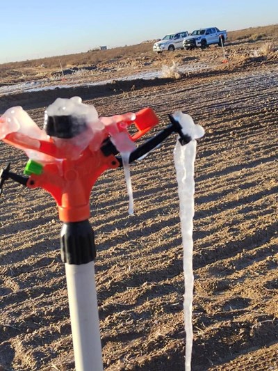 بالصور.. صقيع وانجماد في بادية النجف الأشرف