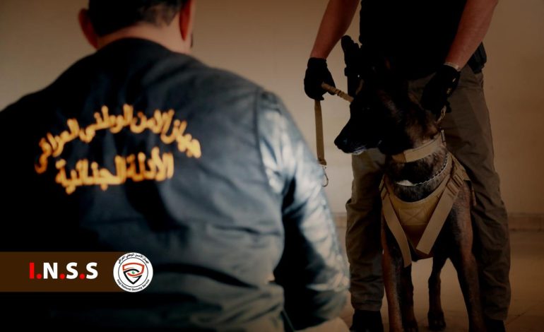 بالجرم المشهود: القبض على شبكتين لتجارة المخدرات تنشطان في محافظتي ديالى والنجف الأشرف