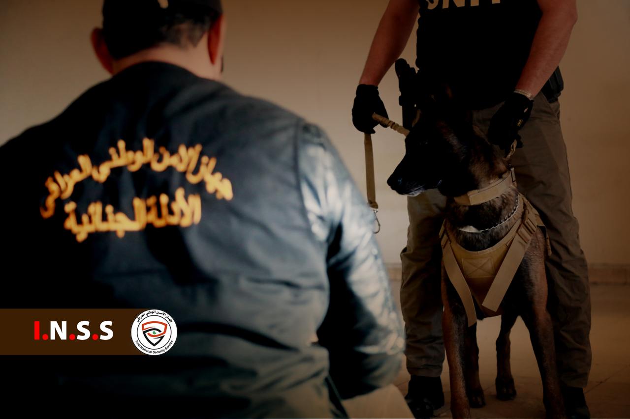 بالجرم المشهود: القبض على شبكتين لتجارة المخدرات تنشطان في محافظتي ديالى والنجف الأشرف